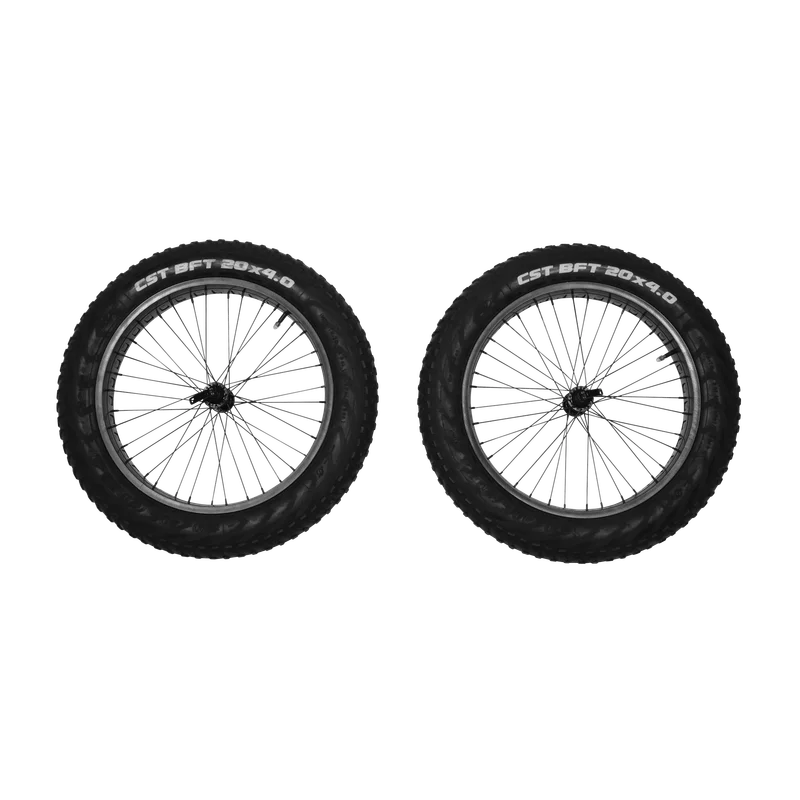 Reacha 20" fat tire wheel set