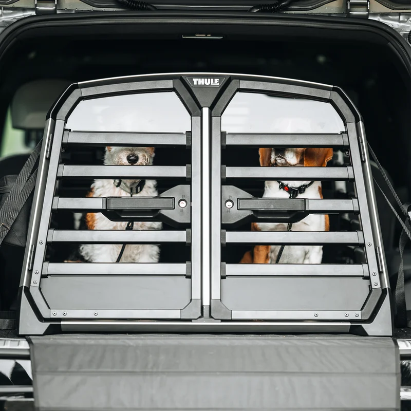 Two dogs sitting securely inside a Thule Allax double dog car crate installed in the trunk of an SUV, viewed from the back with the crate doors closed.