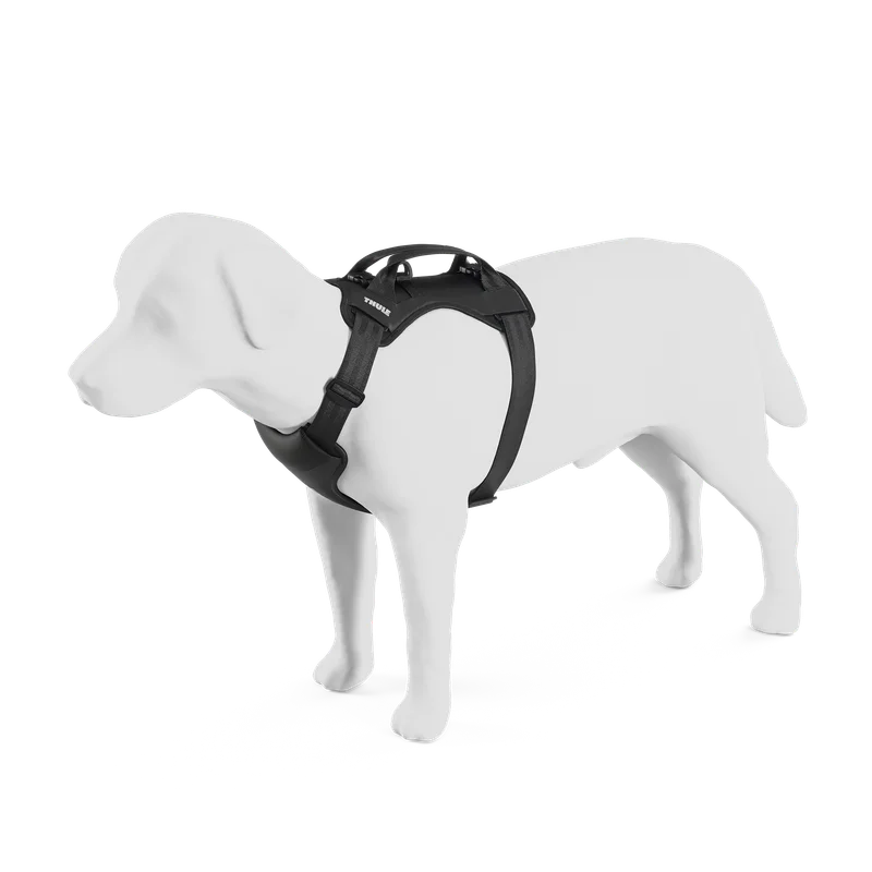 Thule Cappy dog harness