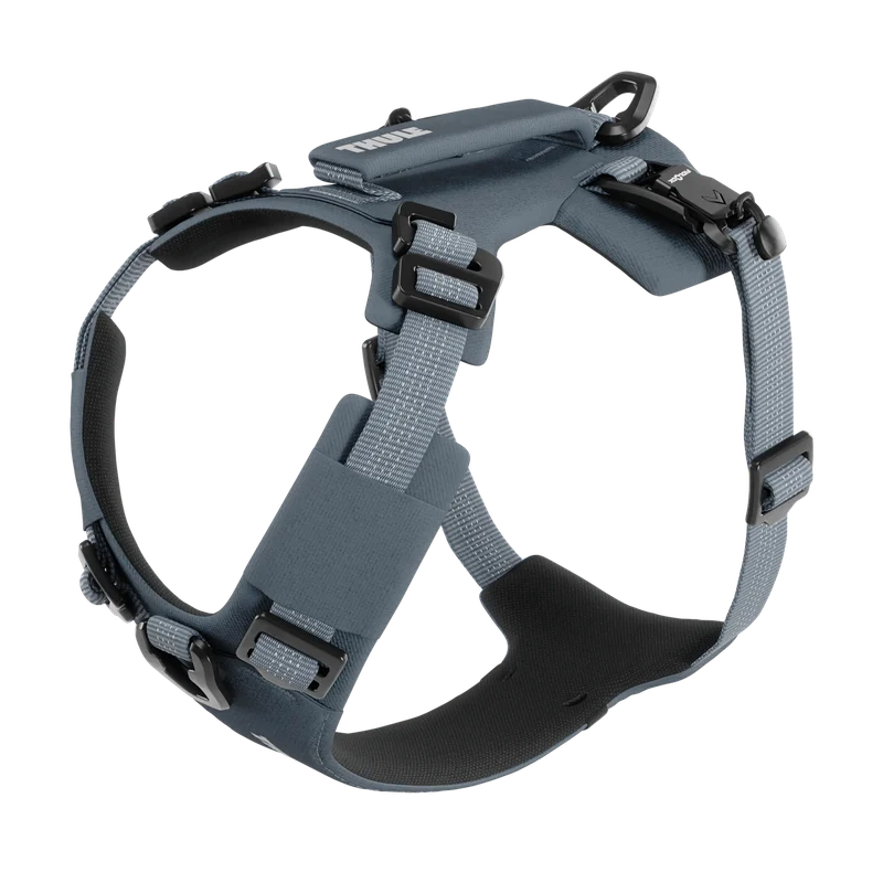Thule Dart harness XS dark slate