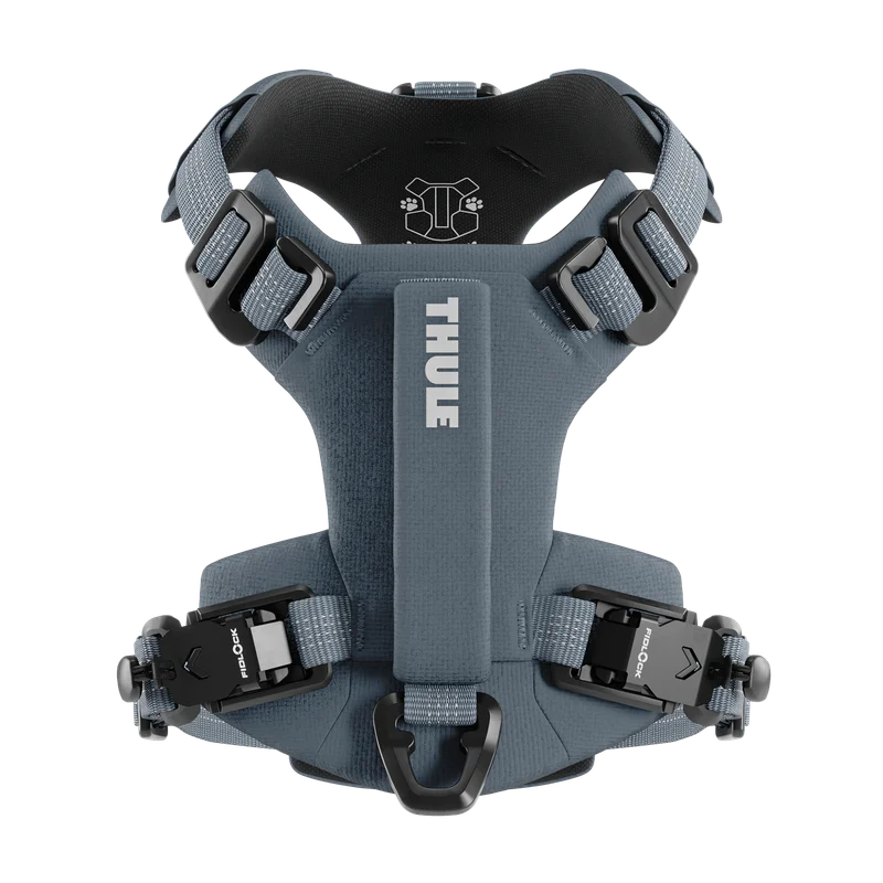 Thule Dart harness XS dark slate