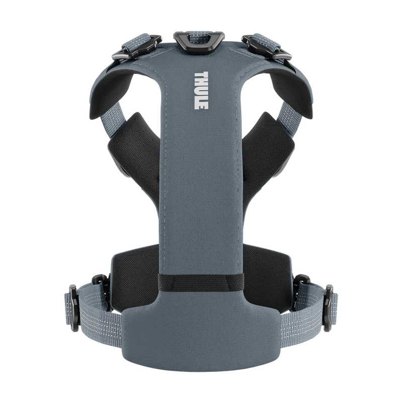Thule Dart harness XS dark slate