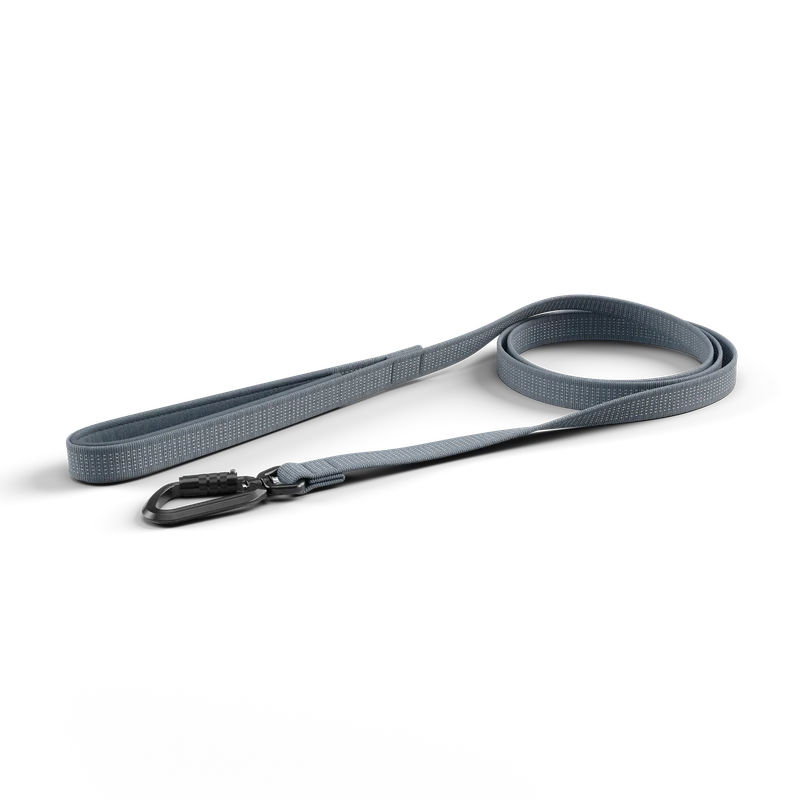 Thule Dart leash short dark slate