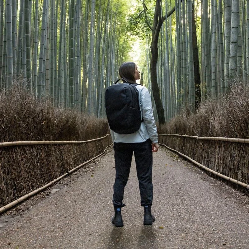 A woman stands on a path next to a bamboo forest with a black Thule Subterra backpack.