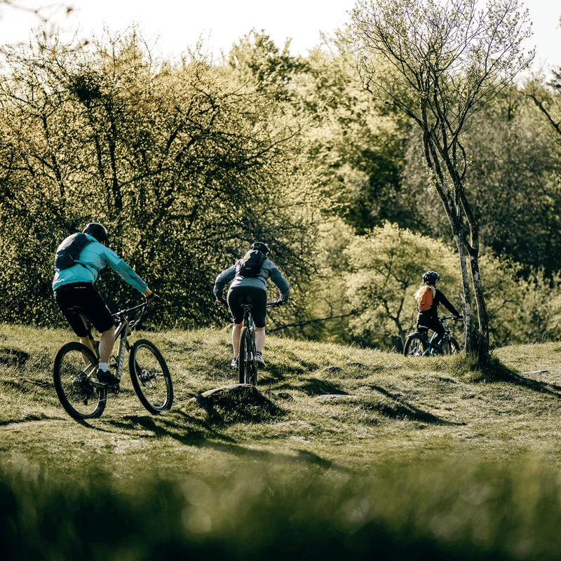 Three cyclists stands on a bridge in the forest on their bikes with Thule UpTake hydration packs.