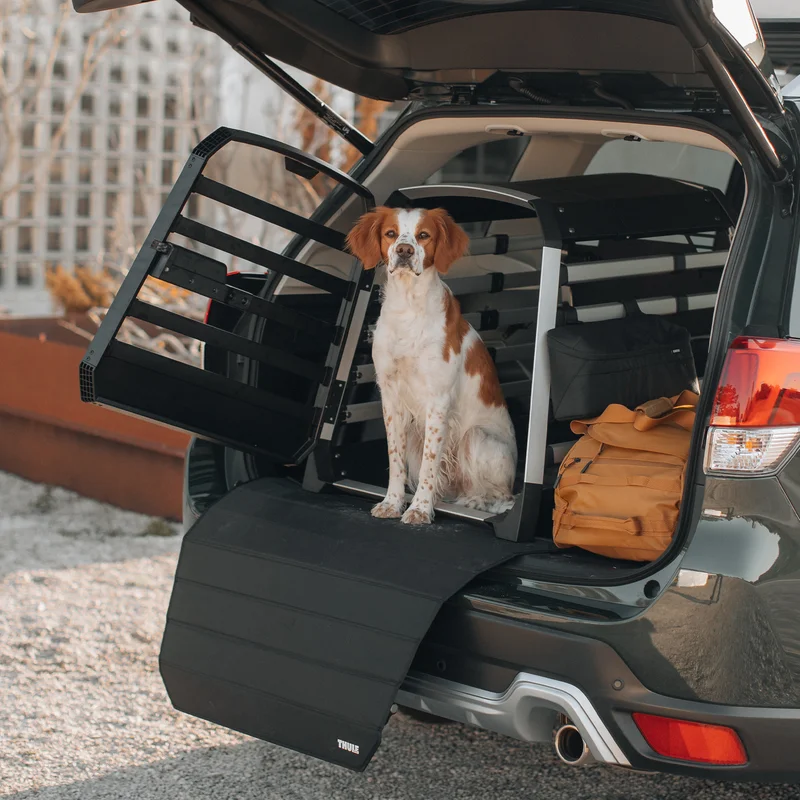 A brown and white dog sits inside a Thule Allax dog crate that has a Thule dog srate storage bag attached.